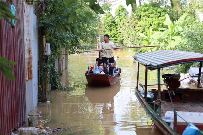 Người dân phải dùng thuyền để đi ra vùng ngập để trông nom nông sản và đàn vật nuôi tại bãi giữa sông Hồng. Ảnh: Vũ Quang – TTXVN