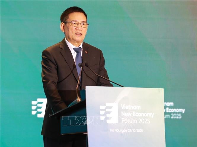 Deputy Prime Minister Ho Duc Phoc speaks at the forum. VNA Photo