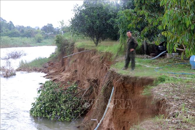 Ông Phạm Văn Phong, Trưởng ban công tác Mặt trận của Thôn 19, xã Đạ Tẻh 2 bên khu vườn của người dân bị sạt lở. Ảnh: Chu Quốc Hùng- TTXVN
