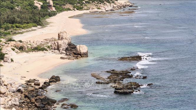 The area reserved for turtle nesting grounds in Nui Chua National Park is strictly monitored and protected. VNA Photo: Nguyễn Thành