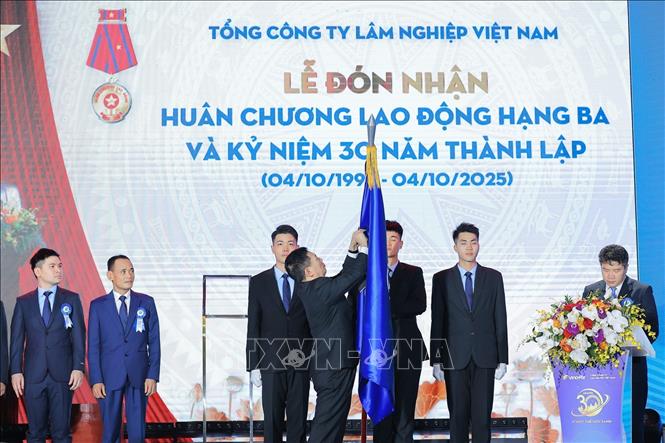 Phó Thủ tướng Hồ Đức Phớc trao Huân chương Lao động hạng Ba của Chủ tịch nước tặng Vinafor. Ảnh: Lê Đông - TTXVN