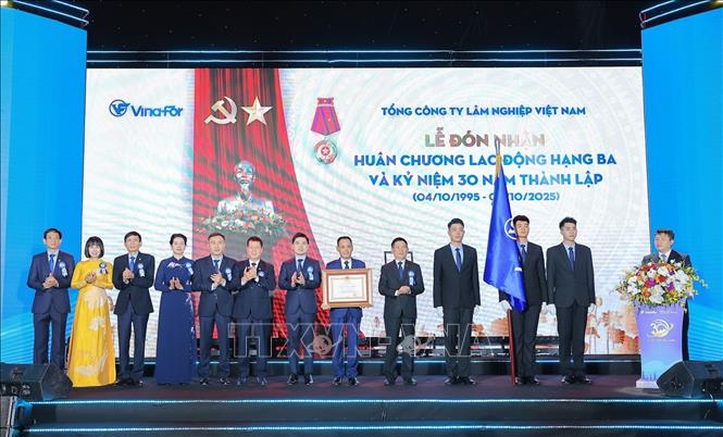 Phó Thủ tướng Hồ Đức Phớc trao Huân chương Lao động hạng Ba của Chủ tịch nước tặng Vinafor. Ảnh: Lê Đông - TTXVN