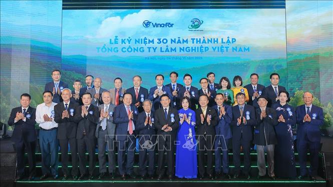 Phó Thủ tướng Hồ Đức Phớc cùng các đại biểu tham dự Lễ kỷ niệm. Ảnh: Lê Đông - TTXVN