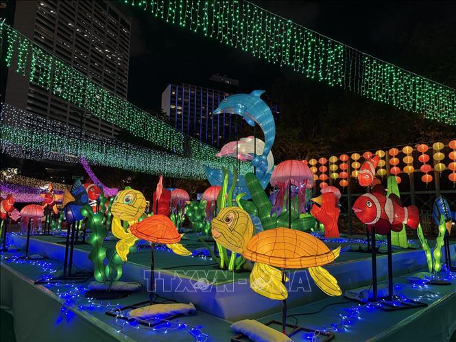Rực rỡ sắc màu đèn lồng tại công viên Victoria. Ảnh: Mạc Luyện - PV TTXVN tại Hong Kong