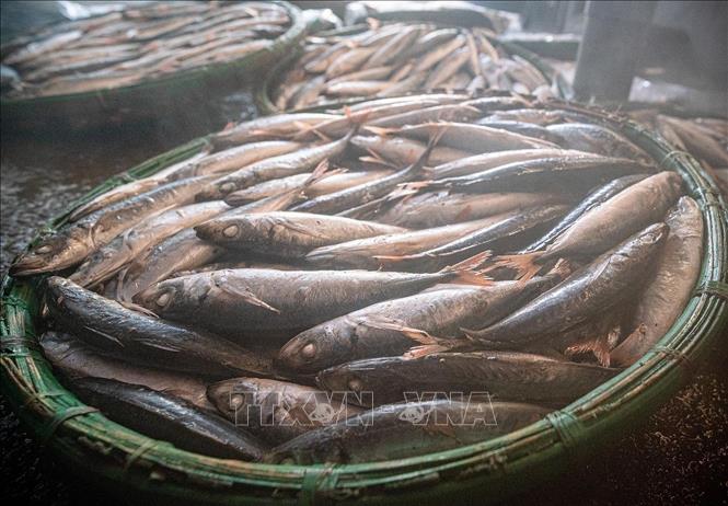 A batch of freshly steamed fish just out of the stove. VNA Photo: Khánh Hoà