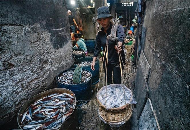 According to fish steamers at Quy Nhon port, the peak season is from March to September. During this period, several tons of fish and squid are steamed daily, with each batch taking 15–20 minutes, often requiring continuous work for 6–8 hours each night. VNA Photo: Khánh Hoà