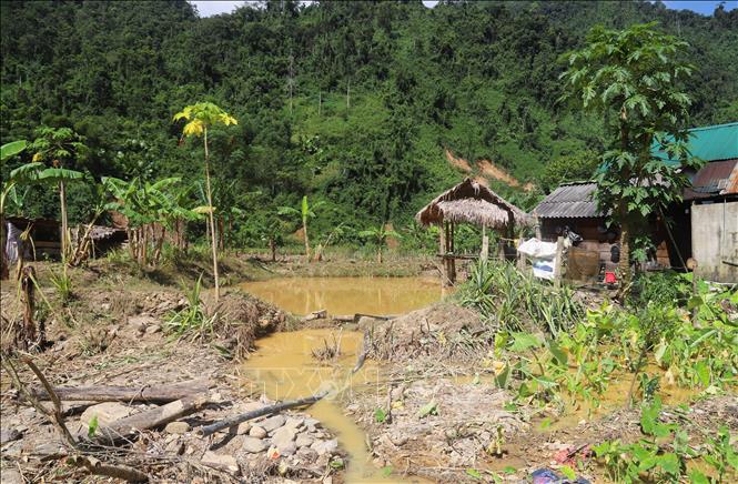  Ao nuôi cá của người dân bị lũ ống, lũ quét càn qua gây vỡ bờ bao, mất sạch cá nuôi trong ao. Ảnh: Xuân Tiến - TTXVN