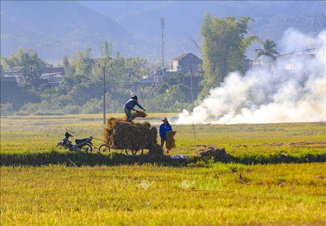 Khung cảnh cánh đồng Mường Thanh trong khói lam chiều. Ảnh: Xuân Tư - TTXVN