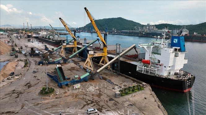 Bốc xếp hàng gỗ dăm xuất khẩu ở cảng quốc tế Nghi Sơn, phường Nghi Sơn, tỉnh Thanh Hóa. Ảnh: Vũ Sinh - TTXVN