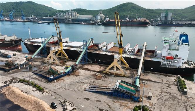 Bốc xếp hàng gỗ dăm xuất khẩu tại cảng quốc tế Nghi Sơn, phường Nghi Sơn, tỉnh Thanh Hóa. Ảnh: Vũ Sinh - TTXVN