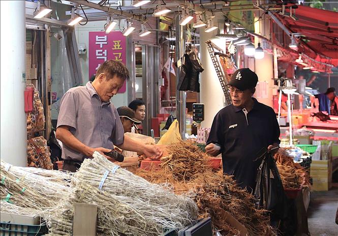 Khách mua sâm tại chợ truyền thống của Hàn Quốc. Ảnh: Khánh Vân - TTXVN tại Hàn Quốc