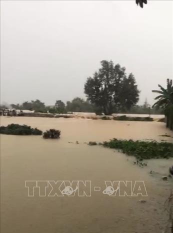 Nước lũ dâng cao làm vỡ đê bối sông Cầu tại tổ 33, phường Phan Đình Phùng, tỉnh Thái Nguyên. Ảnh: Thảo Nguyên-TTXVN