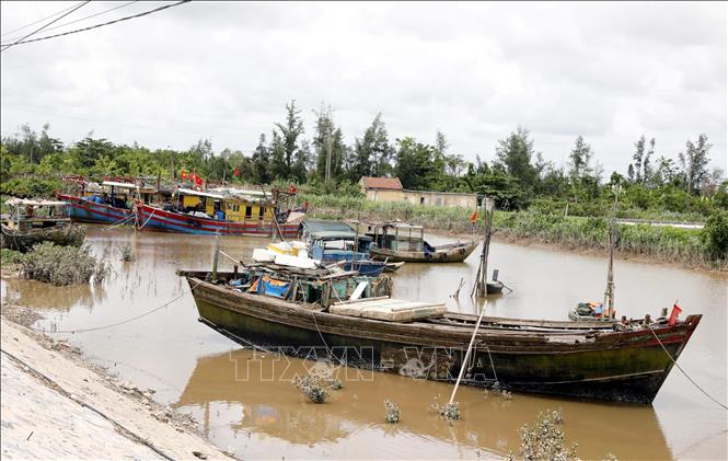 Một bến thuyền của ngư dân tại khu vực vùng đệm của Vườn quốc gia Xuân Thủy. Ảnh: Thái Thuần - TTXVN