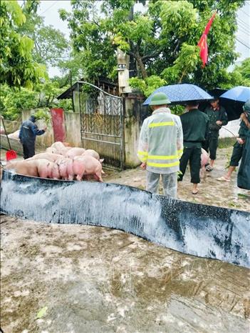 Lực lượng chức năng hỗ trợ nhân dân thôn Chẽ, xã Yên Thế sơ tán tài sản, vật nuôi, phòng tránh mưa bão. Ảnh: TTXVN phát

