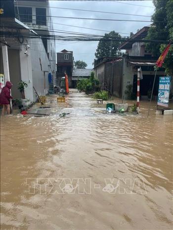 Nhiều nơi thuộc thôn Hoàng Hoa Thám, xã Yên Thế bị ngập sâu trong nước lũ. Ảnh: TTXVN phát