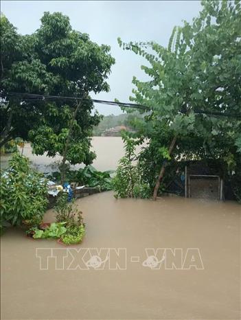 Nhiều nơi thuộc thôn Hoàng Hoa Thám, xã Yên Thế bị ngập sâu trong nước lũ. Ảnh: TTXVN phát