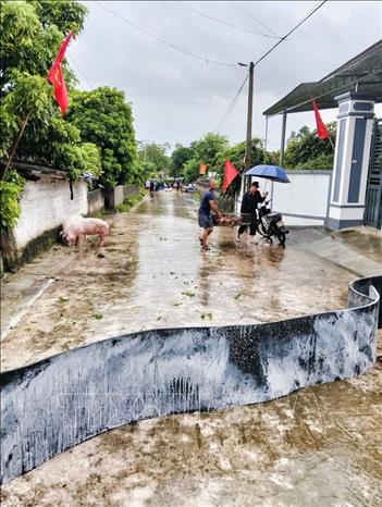 Lực lượng chức năng hỗ trợ nhân dân thôn Chẽ, xã Yên Thế sơ tán tài sản, vật nuôi, phòng tránh mưa bão. Ảnh: TTXVN phát
