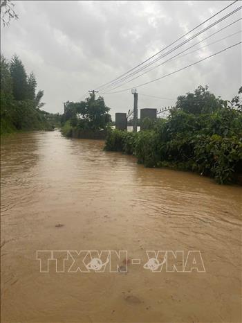 Nhiều nơi thuộc thôn Hoàng Hoa Thám, xã Yên Thế bị ngập sâu trong nước lũ. Ảnh: TTXVN phát