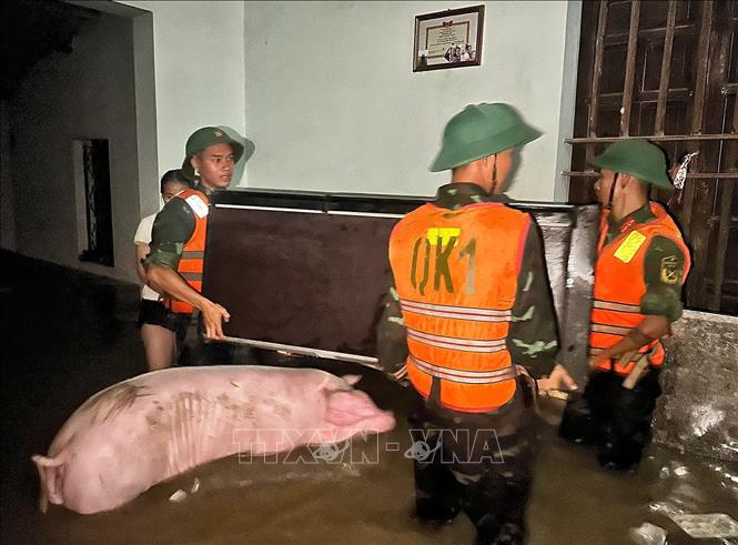 Cán bộ, chiến sĩ Trung đoàn 2, Sư đoàn 3 đóng quân trên địa bàn và nhân dân tổ chức hỗ trợ người dân. Ảnh: TTXVN phát