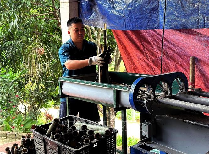 Hợp tác xã áp dụng công nghệ để cắt tre thành các đoạn nhỏ làm thức ăn cho dúi. Ảnh: Thanh Hải - TTXVN  