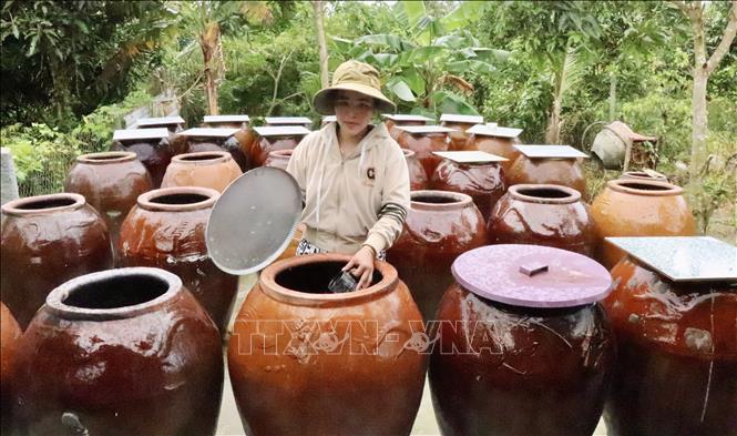 Những thùng sành ủ mắm cá linh. Ảnh: Thanh Sang - TTXVN