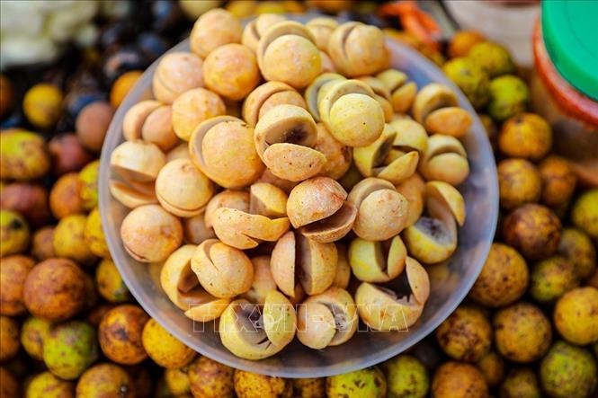 Sấu chín là thức quà mùa Thu 
