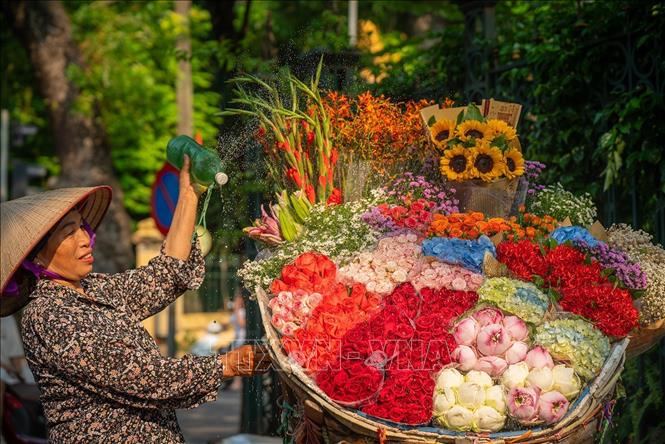 Những gánh hàng hoa là một nét đẹp đặc trưng của mùa Thu Hà Nội. Ảnh: Khánh Hoà - TTXVN 