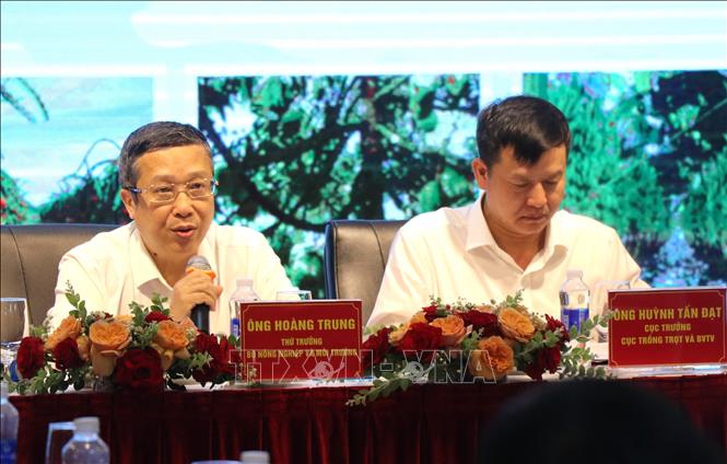 Thứ trưởng Bộ Nông nghiệp và Môi trường Hoàng Trung trao đổi các vấn đề liên quan đến sản xuất nông nghiệp hiện nay. Ảnh: Tường Quân - TTXVN