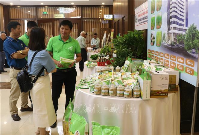 Trưng bày sản phẩm nông nghiệp bên lề Hội nghị. Ảnh: Tường Quân - TTXVN