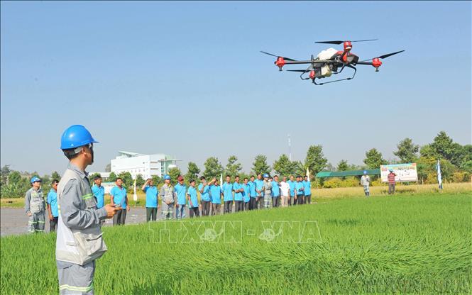 Nông dân tỉnh An Giang trình diễn mô hình Drone (máy bay không người lái) bón phân, phun thuốc trừ sâu cho cây lúa trên cánh đồng ở huyện Thoại Sơn (5/2025). Ảnh: Công Mạo-TTXVN