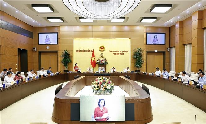 Phó Chủ tịch Quốc hội Nguyễn Thị Thanh phát biểu. Ảnh: Doãn Tấn - TTXVN