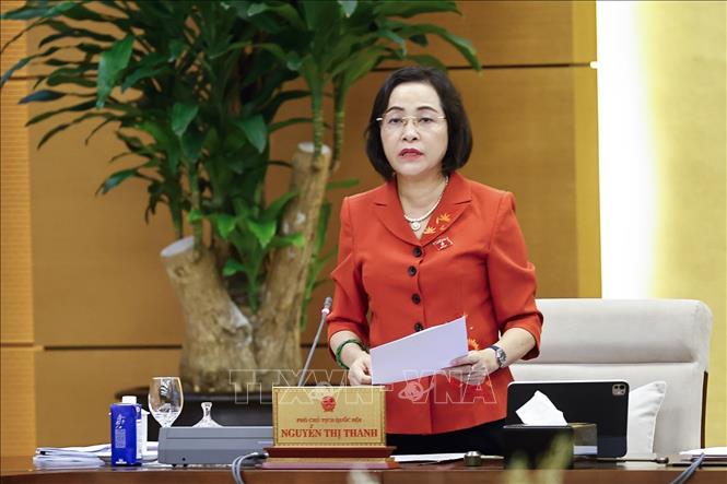 Phó Chủ tịch Quốc hội Nguyễn Thị Thanh phát biểu. Ảnh: Doãn Tấn - TTXVN