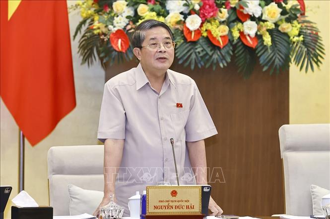 Phó Chủ tịch Quốc hội Nguyễn Đức Hải phát biểu. Ảnh: Doãn Tấn - TTXVN