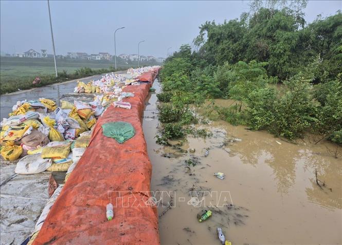 Đê bối Đẩu Hàn đã được gia cố cao từ 0,8 - 1m, chiều dài là 2,5km sáng 9/10. Ảnh: TTXVN phát