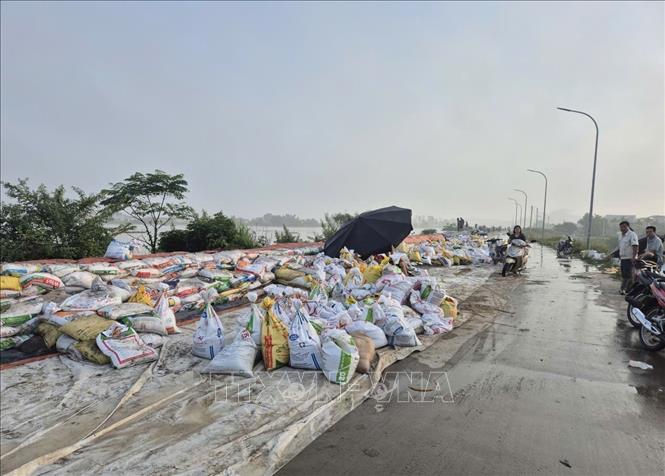 Đê bối Đẩu Hàn đã được gia cố cao từ 0,8 - 1m, chiều dài là 2,5km sáng 9/10/2025. Ảnh: TTXVN phát