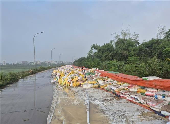 Đê bối Đẩu Hàn đã được gia cố cao từ 0,8 - 1m, chiều dài là 2,5km sáng 9/10/2025. Ảnh: TTXVN phát