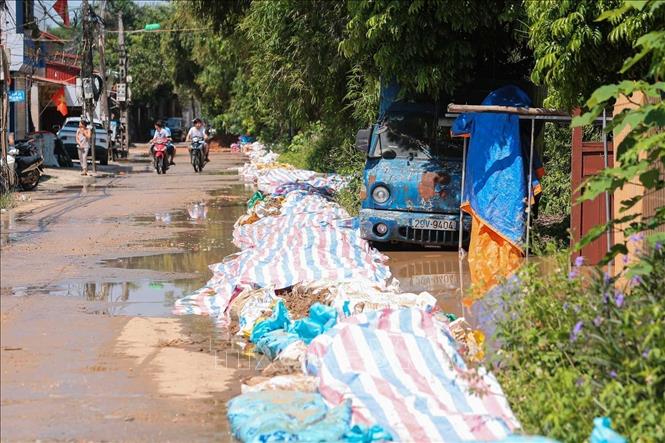 Đê Hữu Cầu đang được gia cố ở khu vực nước sông Cầu dâng cao. Ảnh: Hoàng Hiếu - TTXVN