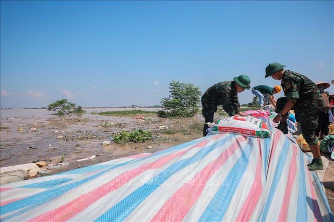Đê thôn Đoài, xã Tam Giang (Bắc Ninh) đang được gia cố khi nước sông Cầu dâng cao. Ảnh: Hoàng Hiếu - TTXVN