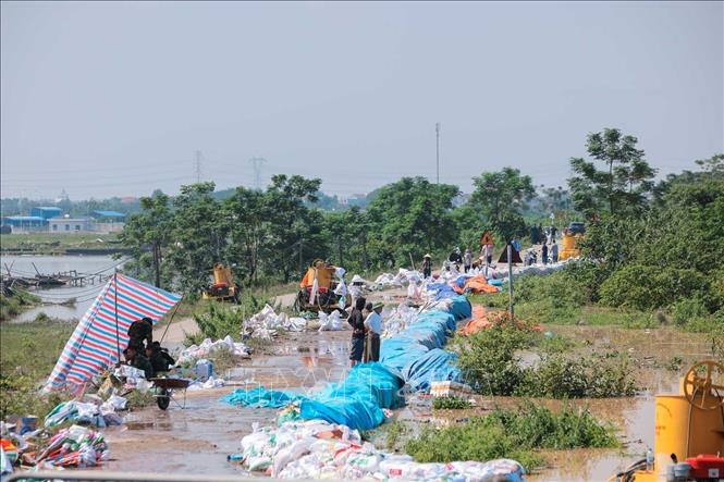 Cán bộ, chiến sĩ Trung đoàn 833 và Ban Chỉ huy Khu vực phòng thủ số 4 (Bộ Chỉ huy quân sự tỉnh Bắc Ninh) và nhân dân phối hợp gia cố đê thôn Đoài, xã Tam Giang (Bắc Ninh). Ảnh: Hoàng Hiếu - TTXVN