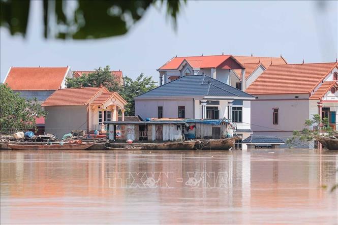 Nhiều hộ dân thôn Đồng Đạo, xã Hợp Thịnh (Bắc Ninh) sống ven sông Cầu bị ngập sâu hơn 3m do nước sông dâng cao bất thường. Ảnh: Hoàng Hiếu - TTXVN