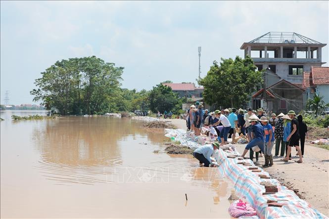 Người dân thôn Cốc Nương, xã Đa Phúc, Hà Nội và lực lượng chức năng tập trung ứng phó, đảm bảo an toàn tuyến đê. Ảnh: Lê Đông - TTXVN