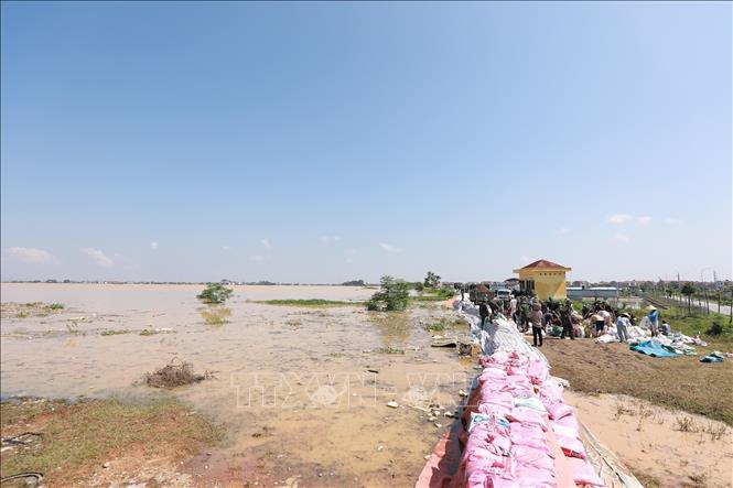 Cán bộ, chiến sĩ Trung đoàn 833 và Ban Chỉ huy Khu vực phòng số 4 (Bắc Ninh) phối hợp gia cố đê. Ảnh: Lê Đông - TTXVN