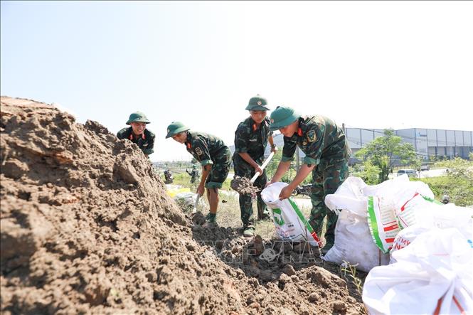 Cán bộ, chiến sĩ Trung đoàn 833 và Ban Chỉ huy Khu vực phòng số 4 (Bắc Ninh) phối hợp gia cố đê. Ảnh: Lê Đông - TTXVN