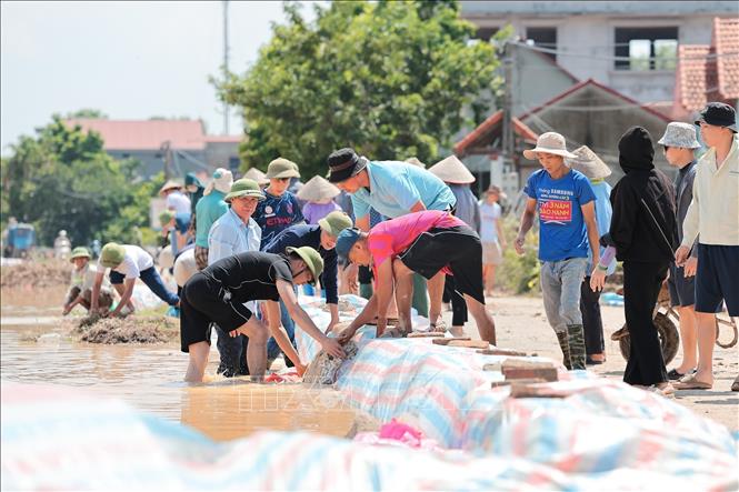 Người dân thôn Cốc Nương, xã Đa Phúc, Hà Nội khẩn trương gia cố đê Sông Cầu. Ảnh: Lê Đông - TTXVN
