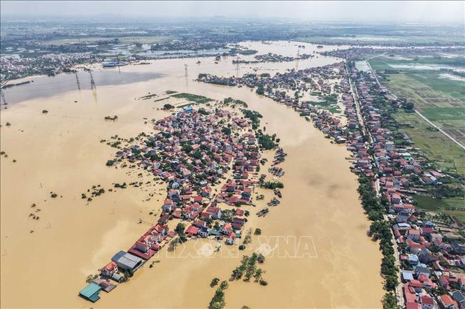 Nhiều hộ dân thôn Ngô Đạo, xã Đa Phúc (Hà Nội) bị cô lập do nước sông Cầu dâng cao. Ảnh: Hoàng Hiếu - TTXVN