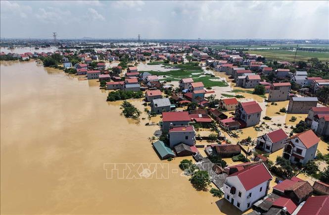 Nhiều hộ dân thôn Ngô Đạo, xã Đa Phúc (Hà Nội) bị cô lập do nước sông Cầu dâng cao. Ảnh: Hoàng Hiếu - TTXVN