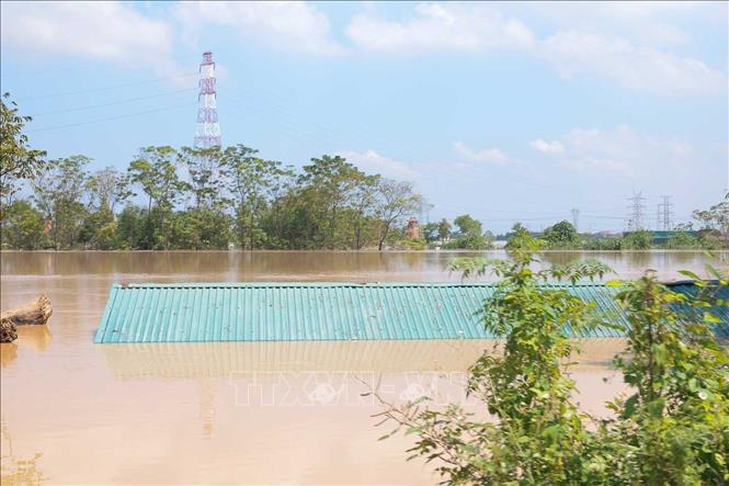 Một ngôi nhà chìm trong biển nước. Ảnh: Hoàng Hiếu - TTXVN