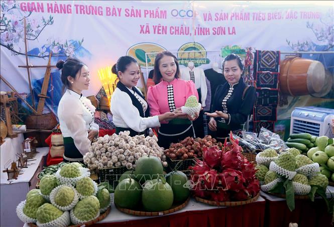 Gian hàng trưng bày các sản phẩm OCOP và nông sản đặc trưng của xã Yên Châu. Ảnh: Quang Quyết - TTXVN