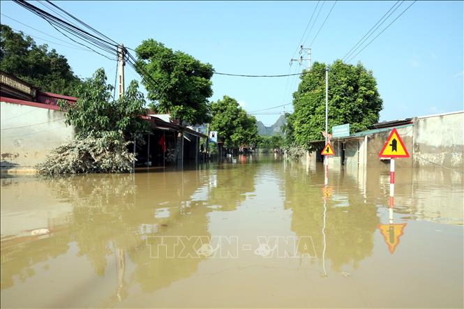 Tỉnh lộ 242, tuyến 