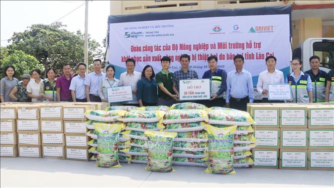 Trung tâm Khuyến nông Quốc gia cùng các doanh nghiệp hỗ trợ người dân xã Trấn Yên, Quy Mông trên 30 tấn phân bón vi sinh, trên 1.000 lít hóa chất sát trùng, trên 1.000 gói vitamin và khoáng và điện giải. Ảnh: Đinh Thùy - TTXVN